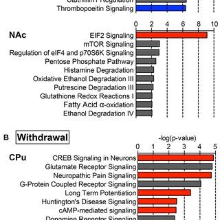 Select Top Significant Canonical Pathways Ten Of The Top Canonical