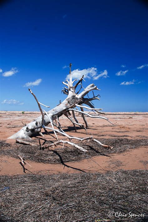 PEI National Park by Chris Spencer Via... - Nature Never Hurries