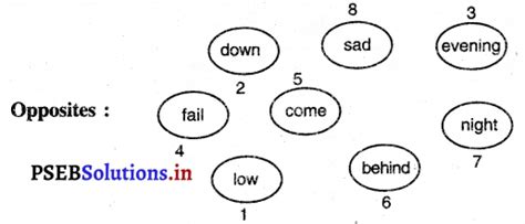 Pseb 3rd Class English Solutions Chapter 7 The Swing Pseb Solutions