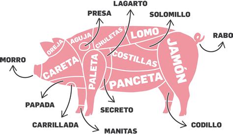 La Vida De Un Cerdo