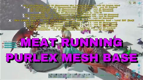 MEATRUNNING PURLEX MESH BASE ARK OFFICIAL PVP PS4 YouTube