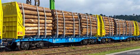 Sudexpress N Holztransportwagen Sggmrss Cd Cargo Ep Vi