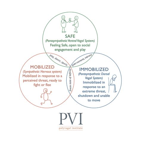 What Is Polyvagal Theory Polyvagal Institute