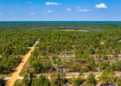 Florida Undeveloped Land for Sale, Undeveloped Land for Sale in Florida