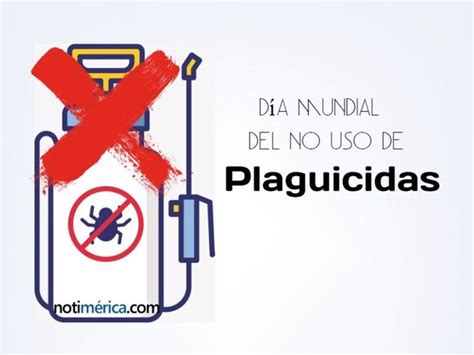 De Diciembre D A Mundial Del No Uso De Plaguicidas Qu Representa