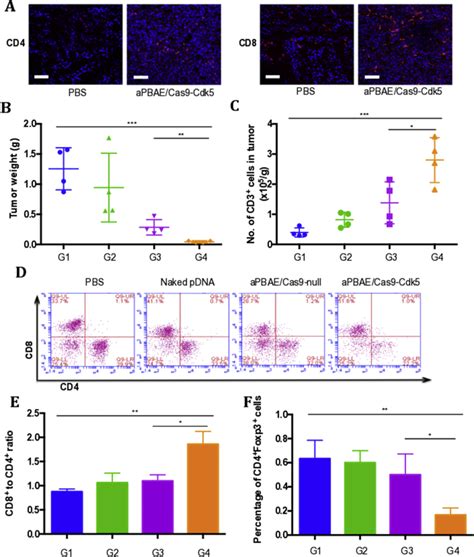 Cdk5 Knocking Out Mediated By Crispr Cas9 Genome Editing For Pd L1