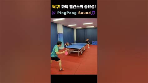 탁구 화백 밸런스의 중요성 🎶 Pingpong Sound🎵 Youtube