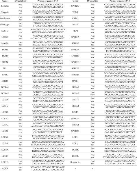 Real Time Pcr Primer Sequences Download Table