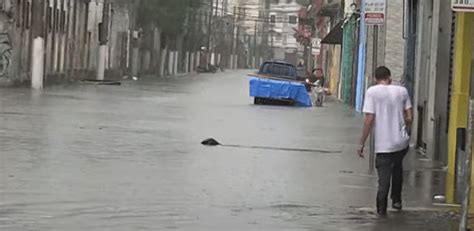 Chuva Em Sp Alagamentos E Queda De árvore Homem Morre Eletrocutado