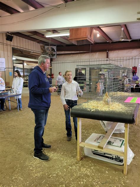 Selecting A Showmanship Bird The American Poultry Association Apa