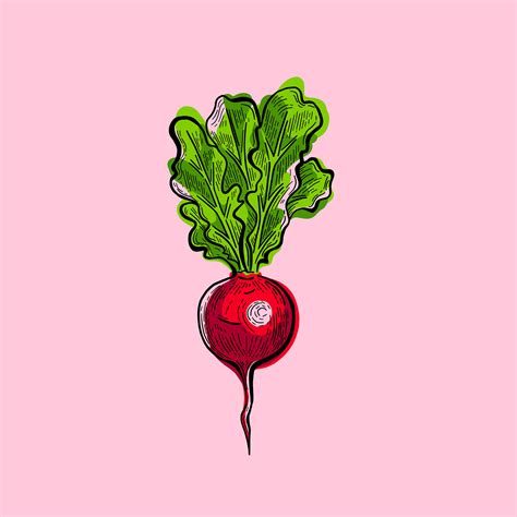 Healthy Food Illustration Series on Behance