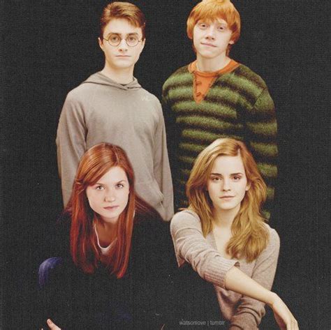 The Couples Harry And Ginny And Ron And Hermione Harry Potter  Harry Et Ginny Photo Harry