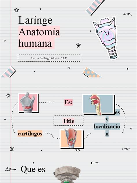 Pretty Aesthetic Notes For School Infographics by Slidesgo | PDF