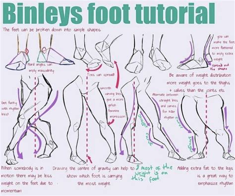 Pin By Riley Workman On Tutorials Anatomy Reference Drawing Tips