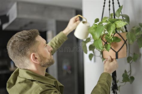 Un Buen Hombre Rociando Agua En Una Planta Y Flor De La Casa Con Una