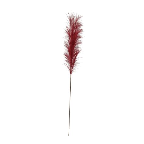 Red Pampas Grass Inside Living Style