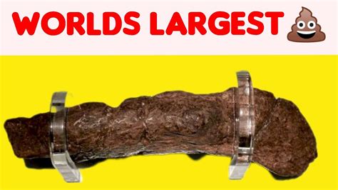 Guinness World Record For Fastest Poop at Vincent Flora blog