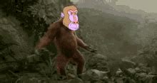 Baboon Funny GIFs | Tenor