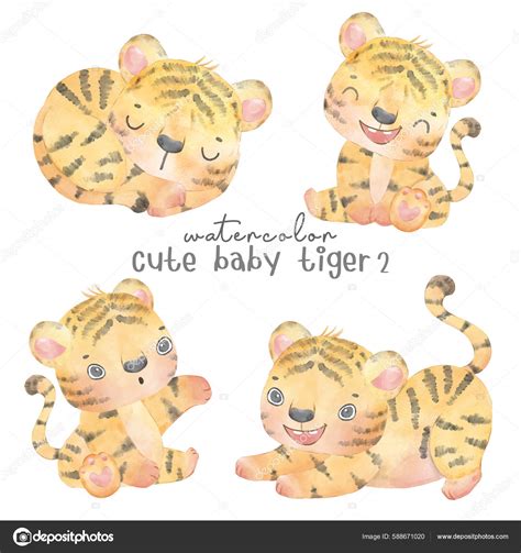 Cute Baby Tiger Watercolor Hand Drawing Painting Collection Nursery