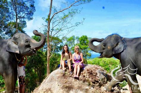 Phupa Elephant Trekking Phuket D3