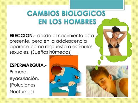 Cambios Fisicos Psicologicos Y Sociales En El Adolescente