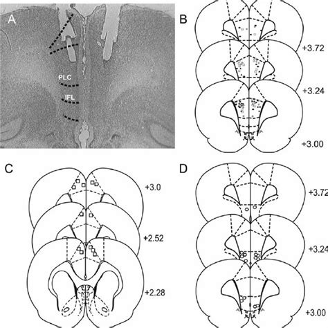 Histological Analysis Of Intra Pfc Cannulae Placements And Cpp Results