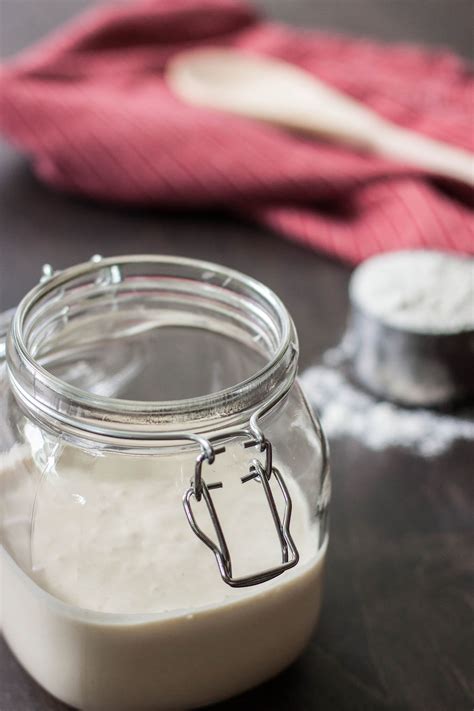 17+ Homemade Sourdough Bread Starter Gif - Sourdough Bread Starter