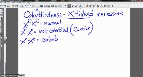 Sex Linked Traits Mp YouTube