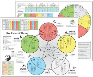 Acupuncture and TCM Charts