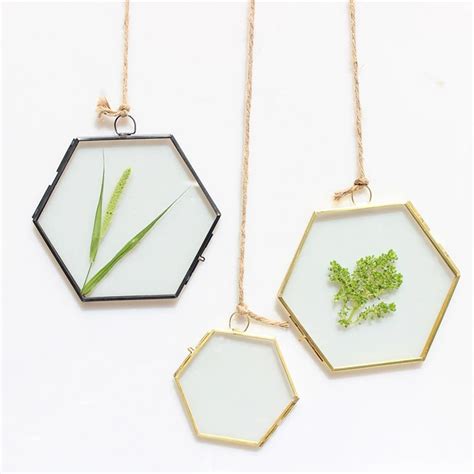 Modern Hanging Hexagon Metal&Glass Plant Specimen Double Sided Glass ...