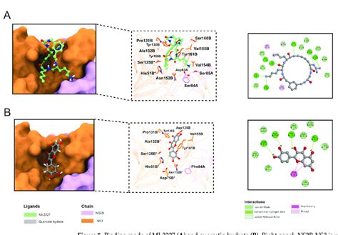 Binding Mode Of Mi A And Quercetin Hydrate B Right Panel