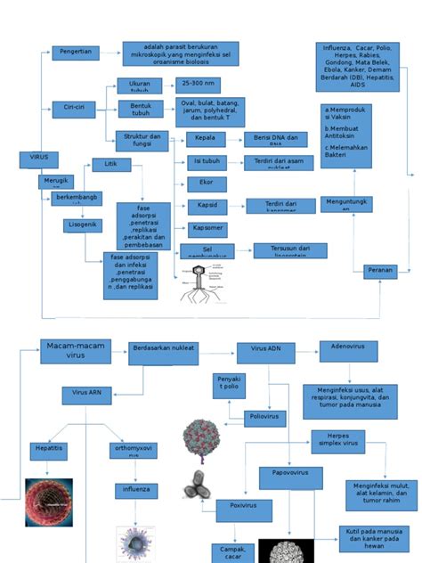 Peta Konsep Biologi | PDF