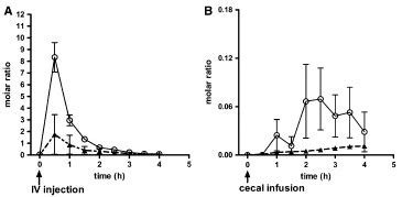 Folate Is Absorbed Across The Colon Of Adults Evidence From Cecal