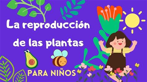 La ReproducciÓn De Las Plantas Para Niños Youtube