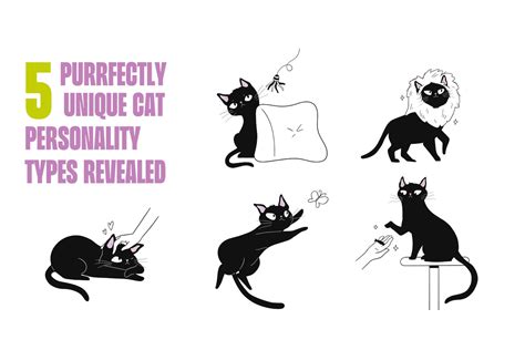 5 Purr-fectly Unique Cat Personality Types Revealed – Cats and the City