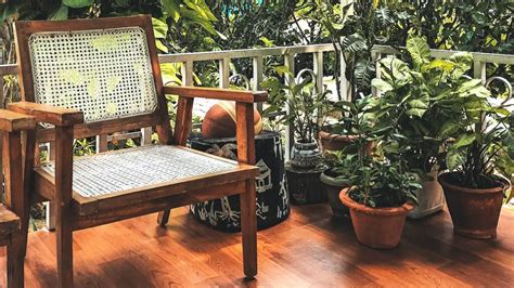 Small Terrace Garden Ideas: Transforming Limited Space into a Green Oasis