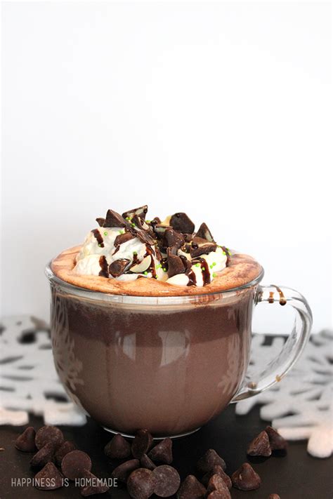 25 Amazing Hot Cocoa Recipe Ideas - Crazy Little Projects