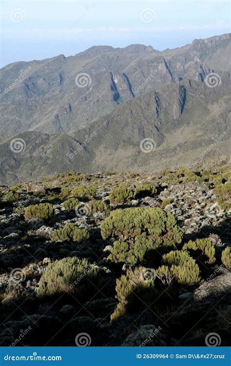 Mt Kilimanjaro, Tanzania, Africa Stock Photo - Image of eastern ...