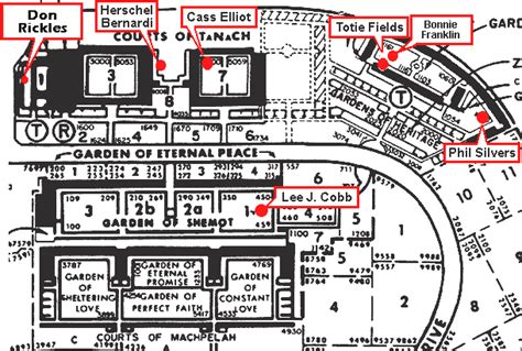 Mount Sinai Hospital Map