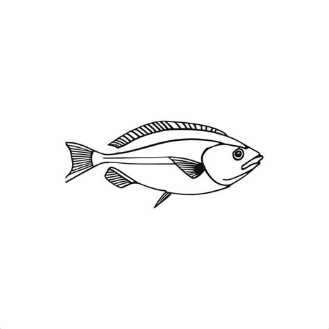 A fish vector line art work. 23079822 Vector Art at Vecteezy