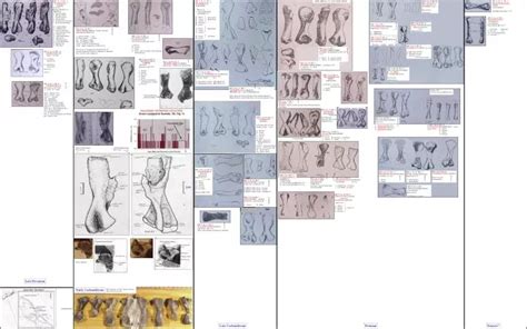 late devonian powerpoint    id