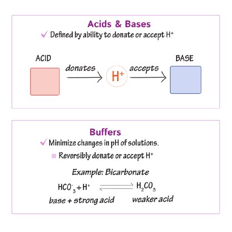 Physiology Glossary Acids Bases Draw It To Know It