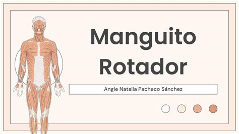 Manguito Rotador Angie Pacheco Udocz