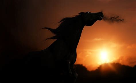 Horses At Sunset Wallpapers - Wallpaper Cave