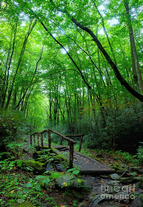 Trail Bridge Photograph By Michael Eingle Pixels