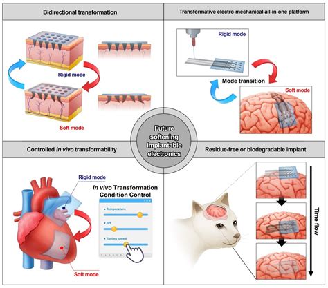 Softening Implantable Bioelectronics Material Designs Applications And Future Directions