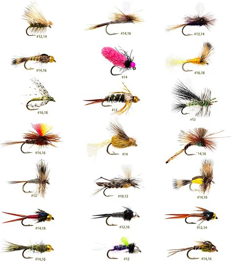 36 Essential Fly Fishing Flies Assortment Dry Wet Nymphs Caddis