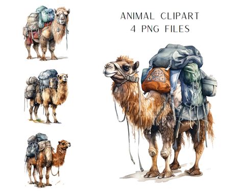 Bactrian Camel Clipart PNG - Etsy