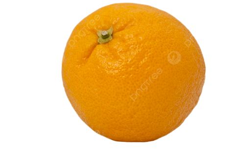 única Laranja Inteira Dietética PNG Dieta Isolamento Orgânico PNG