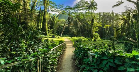 Sendero A La Cascada Y Paseo Por La Naturaleza Getyourguide